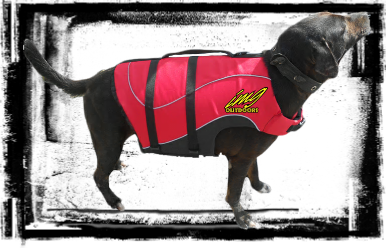 dog float