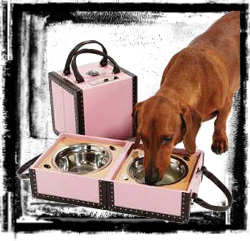 dog bowl